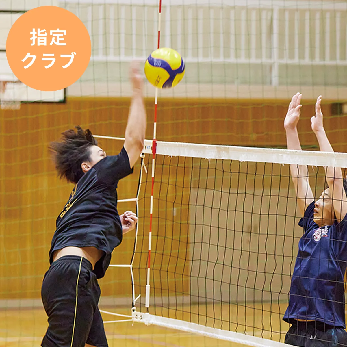 バレーボール部